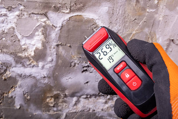 Best Local Mold Removal Service  in Chilhowie, VA