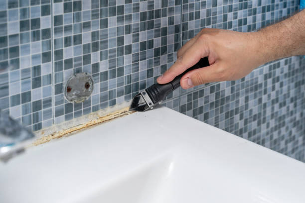 Best Residential Mold Removal  in Chilhowie, VA